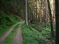 Wanderweg, Dreisbachtal