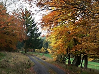 Wanderweg, Taufbachtal