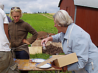 Grabung 2005_17