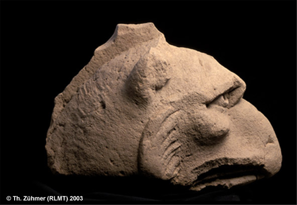 03_Greifenkopf_Startseite_klein_c