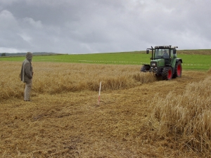 Vorbereitung des Grabungsgel&auml;ndes
