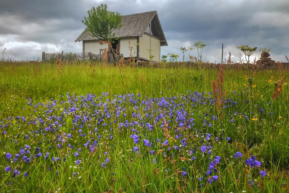 Die Natur am Infopunkt l&auml;sst sich von Corona nicht beeindrucken und erfreut die Besucher