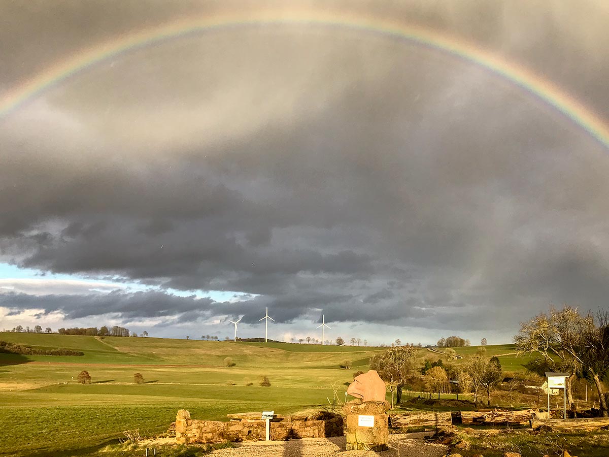 Vereinsinformationen