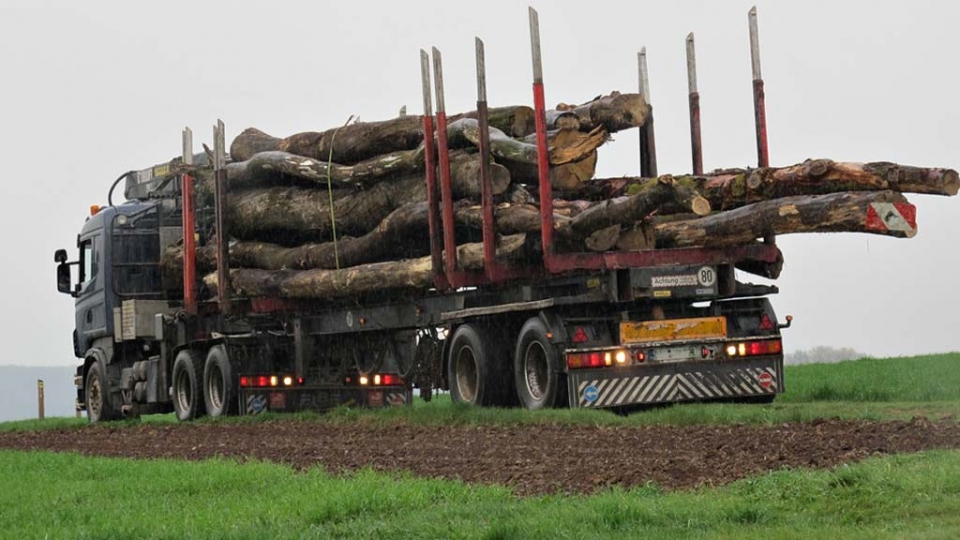 Das Bauholz wird geliefert