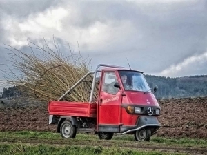 Die erste gr&ouml;&szlig;ere Lieferung ist da
